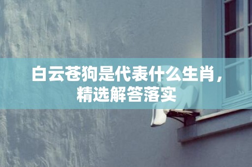 白云苍狗是代表什么生肖，精选解答落实