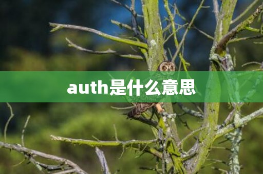 auth是什么意思