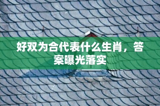 好双为合代表什么生肖，答案曝光落实
