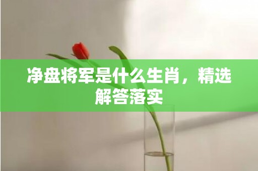 净盘将军是什么生肖，精选解答落实
