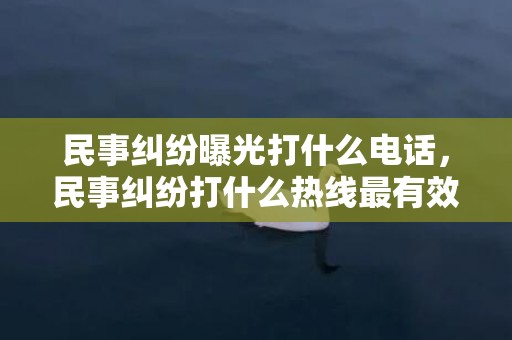 民事纠纷曝光打什么电话，民事纠纷打什么热线最有效呢？民事纠纷举报热线