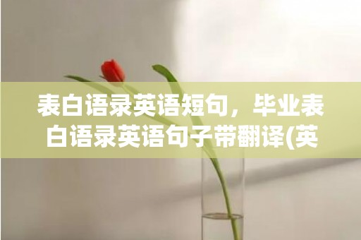表白语录英语短句，毕业表白语录英语句子带翻译(英文表白短句带翻译写给女生)