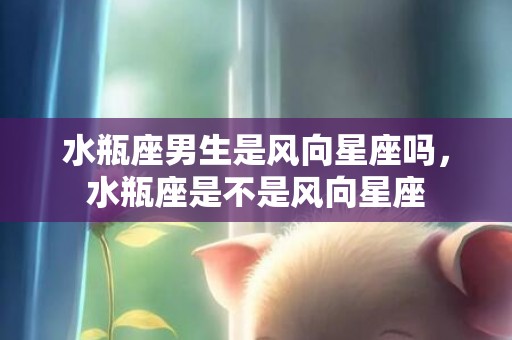 水瓶座男生是风向星座吗，水瓶座是不是风向星座