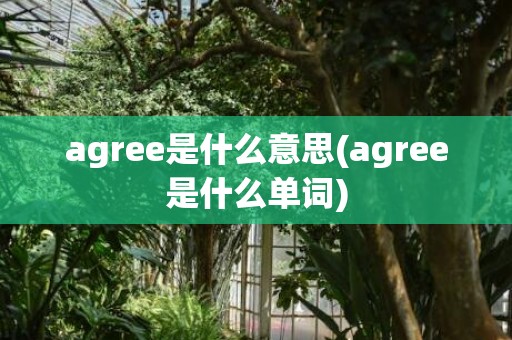 agree是什么意思(agree是什么单词)