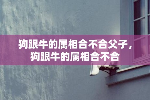 狗跟牛的属相合不合父子，狗跟牛的属相合不合