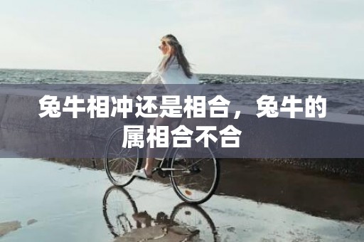 兔牛相冲还是相合，兔牛的属相合不合