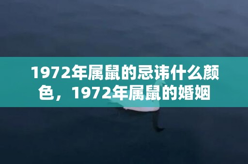 1972年属鼠的忌讳什么颜色，1972年属鼠的婚姻