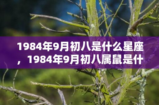 1984年9月初八是什么星座，1984年9月初八属鼠是什么命