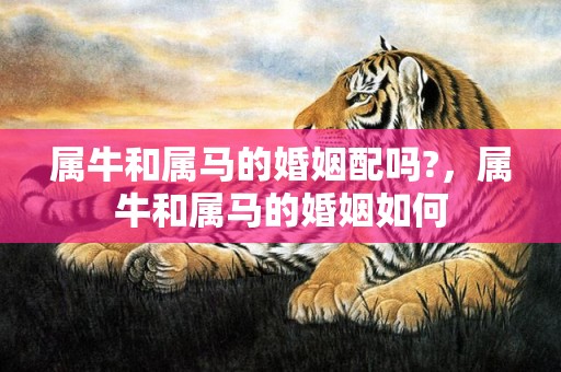 属牛和属马的婚姻配吗?，属牛和属马的婚姻如何
