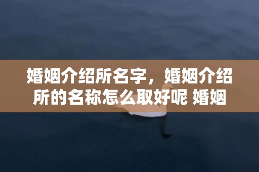 婚姻介绍所名字，婚姻介绍所的名称怎么取好呢 婚姻介绍所的群名