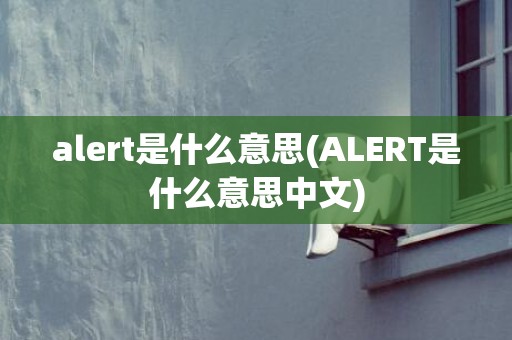 alert是什么意思(ALERT是什么意思中文)