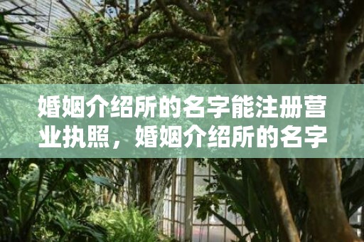婚姻介绍所的名字能注册营业执照，婚姻介绍所的名字怎么起的呢，婚介所名字怎么起名