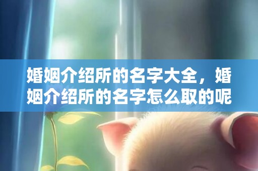 婚姻介绍所的名字大全，婚姻介绍所的名字怎么取的呢，婚介叫啥名字独特