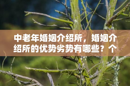中老年婚姻介绍所，婚姻介绍所的优势劣势有哪些？个人工作优势劣势分析