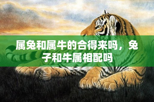 属兔和属牛的合得来吗，兔子和牛属相配吗