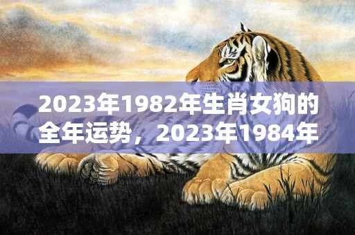 2023年1982年生肖女狗的全年运势，2023年1984年属鼠男全年运势