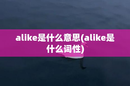 alike是什么意思(alike是什么词性)