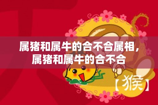属猪和属牛的合不合属相，属猪和属牛的合不合