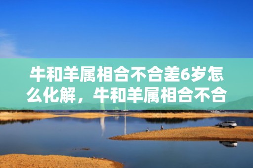 牛和羊属相合不合差6岁怎么化解，牛和羊属相合不合