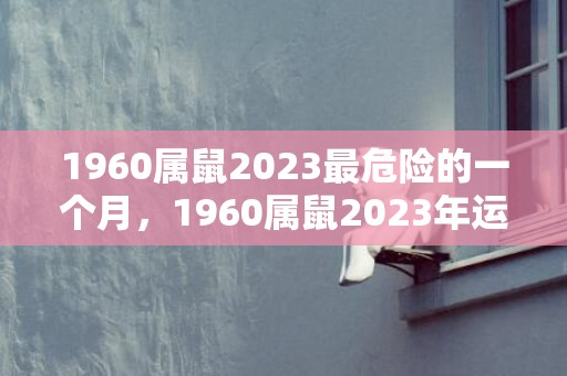 1960属鼠2023最危险的一个月，1960属鼠2023年运势怎么样
