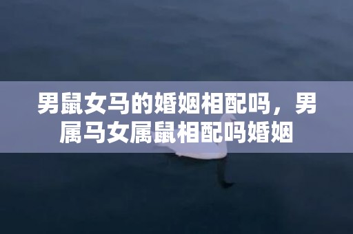 男鼠女马的婚姻相配吗，男属马女属鼠相配吗婚姻