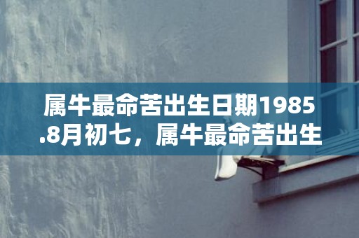 属牛最命苦出生日期1985.8月初七，属牛最命苦出生日期