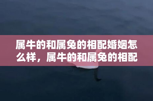 属牛的和属兔的相配婚姻怎么样，属牛的和属兔的相配吗
