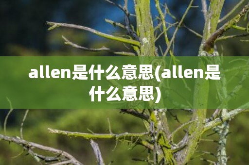 allen是什么意思(allen是什么意思)