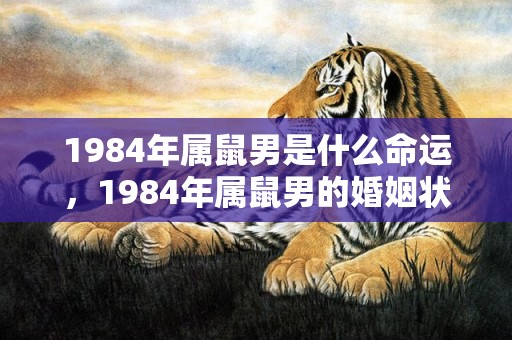 1984年属鼠男是什么命运，1984年属鼠男的婚姻状况