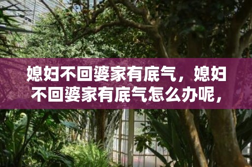 媳妇不回婆家有底气，媳妇不回婆家有底气怎么办呢，媳妇每年不回婆家过年