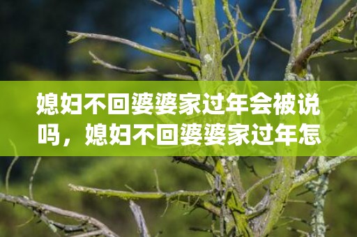 媳妇不回婆婆家过年会被说吗，媳妇不回婆婆家过年怎么办呀(婆媳不来往过年咋办)