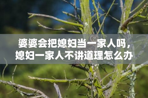 婆婆会把媳妇当一家人吗，媳妇一家人不讲道理怎么办？？老公的家人特别不讲理怎么办