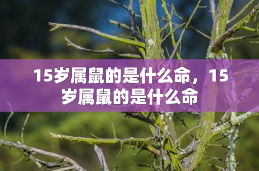 15岁属鼠的是什么命，15岁属鼠的是什么命