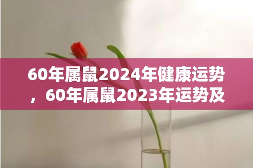 60年属鼠2024年健康运势，60年属鼠2023年运势及运程