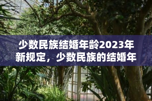 少数民族结婚年龄2023年新规定，少数民族的结婚年龄是多少啊，汉族少数民族结婚奖励