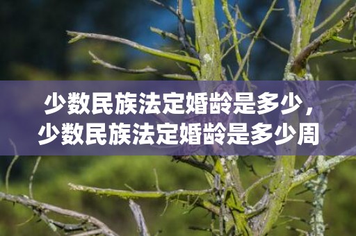 少数民族法定婚龄是多少，少数民族法定婚龄是多少周岁(男生法定婚龄)