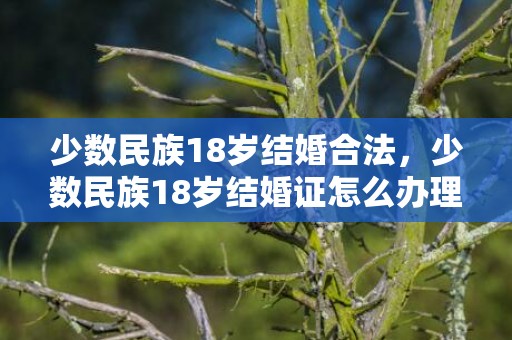 少数民族18岁结婚合法，少数民族18岁结婚证怎么办理？少数民族办结婚证年龄需要多大