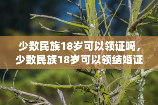 少数民族18岁可以领证吗，少数民族18岁可以领结婚证嘛(少数民族办结婚证年龄需要多大)