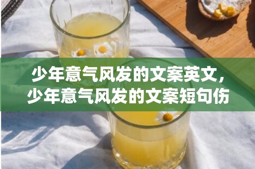 少年意气风发的文案英文，少年意气风发的文案短句伤感(意气风发近义词)