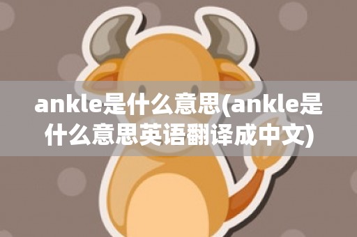 ankle是什么意思(ankle是什么意思英语翻译成中文)