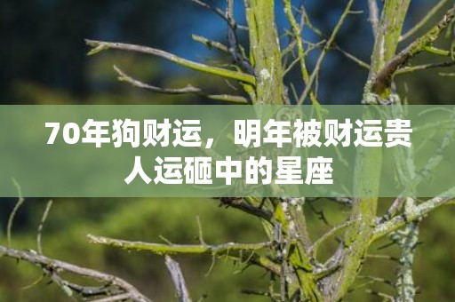 70年狗财运，明年被财运贵人运砸中的星座
