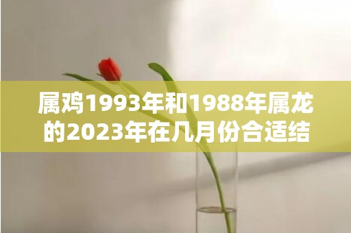 属鸡1993年和1988年属龙的2023年在几月份合适结婚，属鸡1993年和什么属相合财运？1996年属鼠是什么命