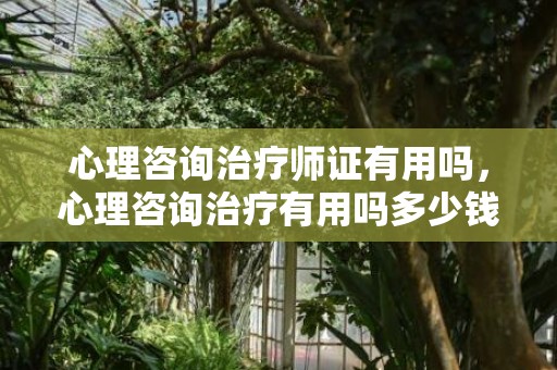 心理咨询治疗师证有用吗，心理咨询治疗有用吗多少钱啊，一次心理咨询一般需要多少钱