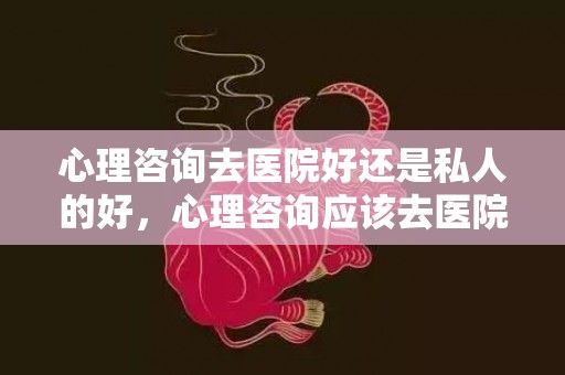 心理咨询去医院好还是私人的好，心理咨询应该去医院吗多少钱？去医院检查心理科需要多少钱