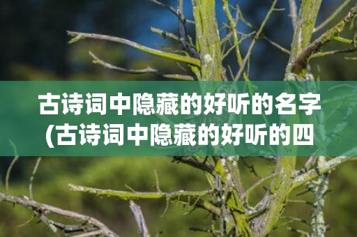古诗词中隐藏的好听的名字(古诗词中隐藏的好听的四字名字)
