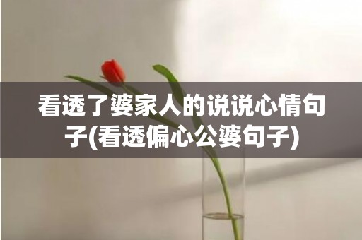 看透了婆家人的说说心情句子(看透偏心公婆句子)
