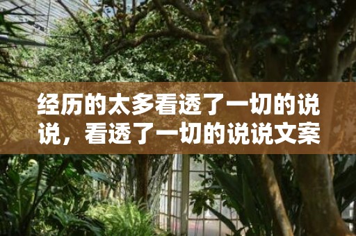 经历的太多看透了一切的说说，看透了一切的说说文案怎么写，看透别说透的前后句都是什么