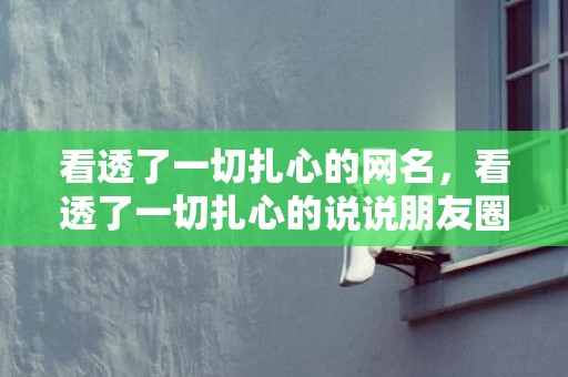 看透了一切扎心的网名，看透了一切扎心的说说朋友圈，看透了,心累了,也该放手了