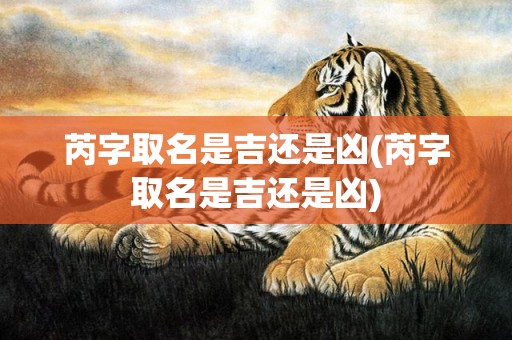 芮字取名是吉还是凶(芮字取名是吉还是凶)