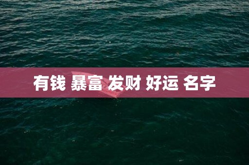有钱 暴富 发财 好运 名字